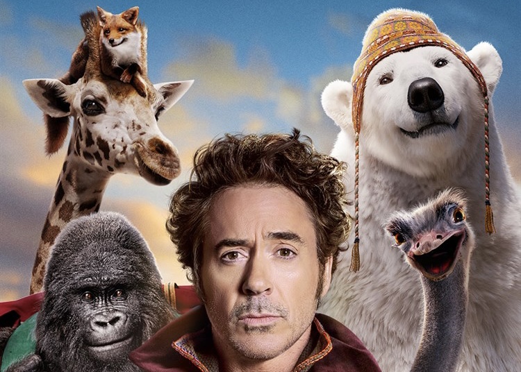 El Pinar organiza una sesión de cine al aire libre para toda la familia 