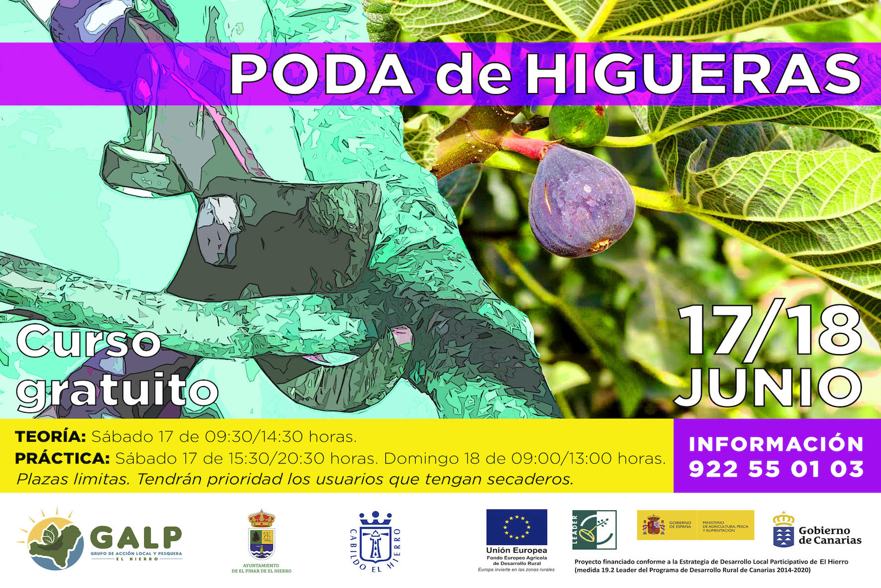 El Pinar de El Hierro programa un curso gratuito de poda de higueras