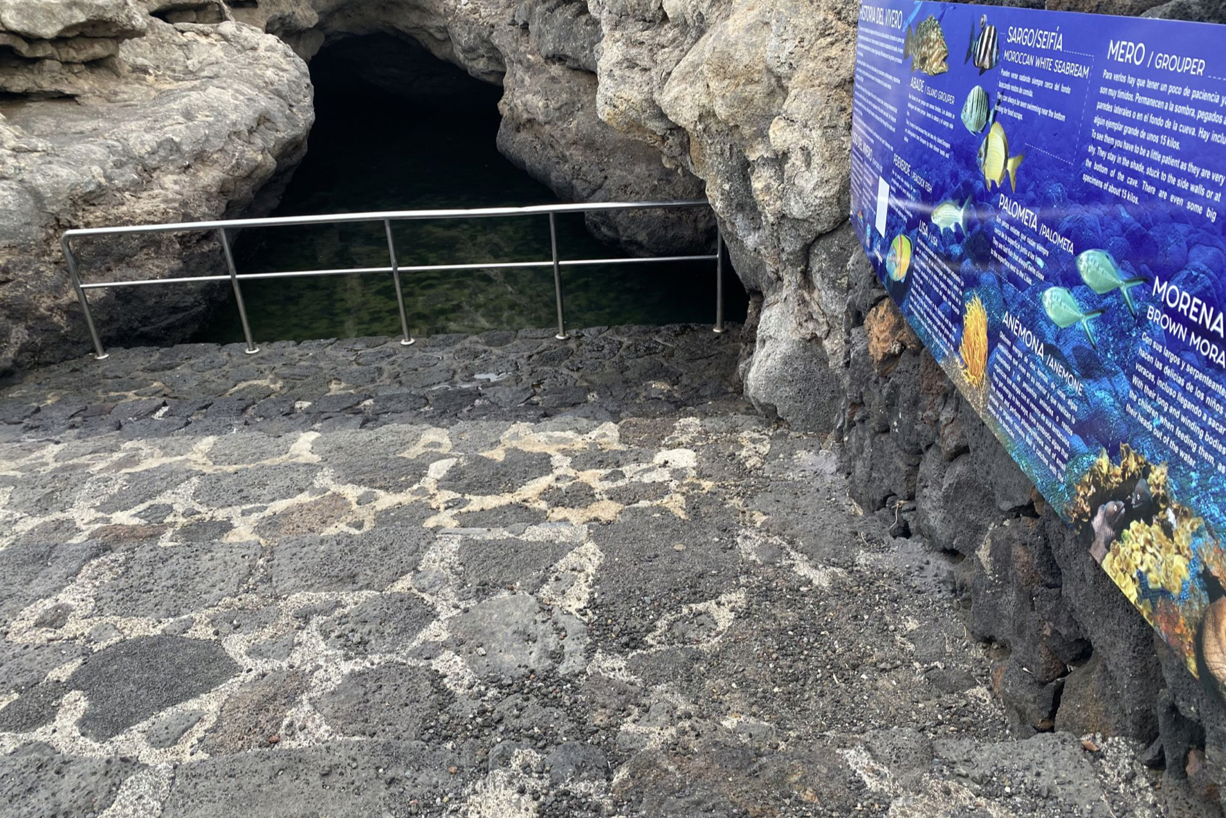 El Ayuntamiento renueva la señalética del ‘Vivero de La Restinga’ para potenciar las visitas