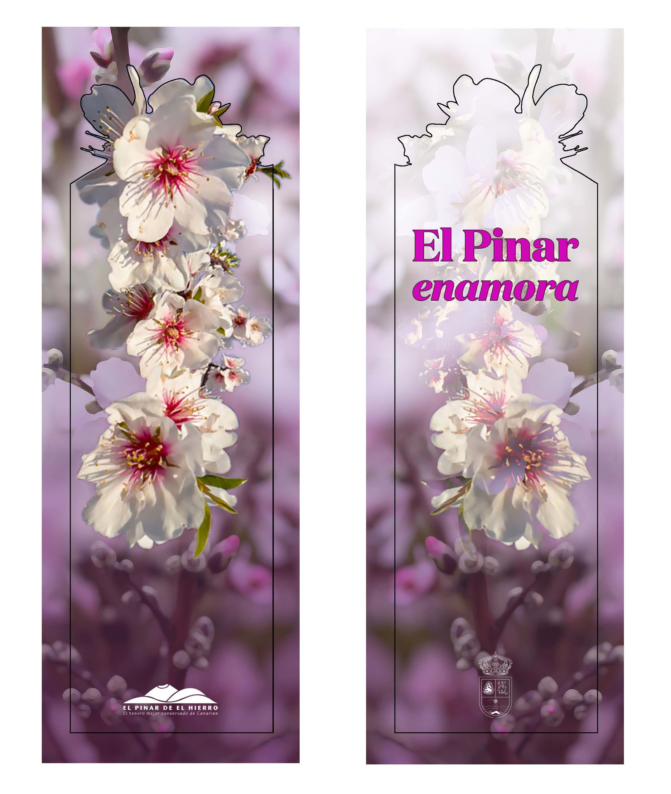 El Ayuntamiento promociona el comercio local con la campaña ‘El Pinar enamora’