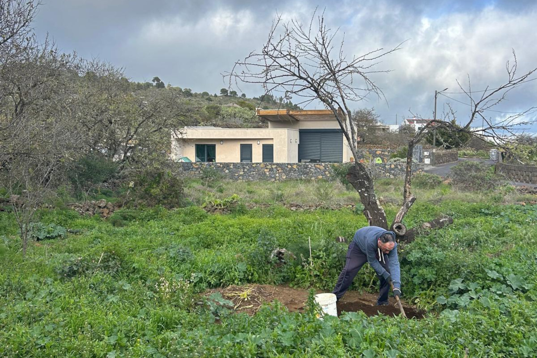 El proyecto ‘Juntémonos en Comunidad II’ permite la continuidad del huerto comunitario