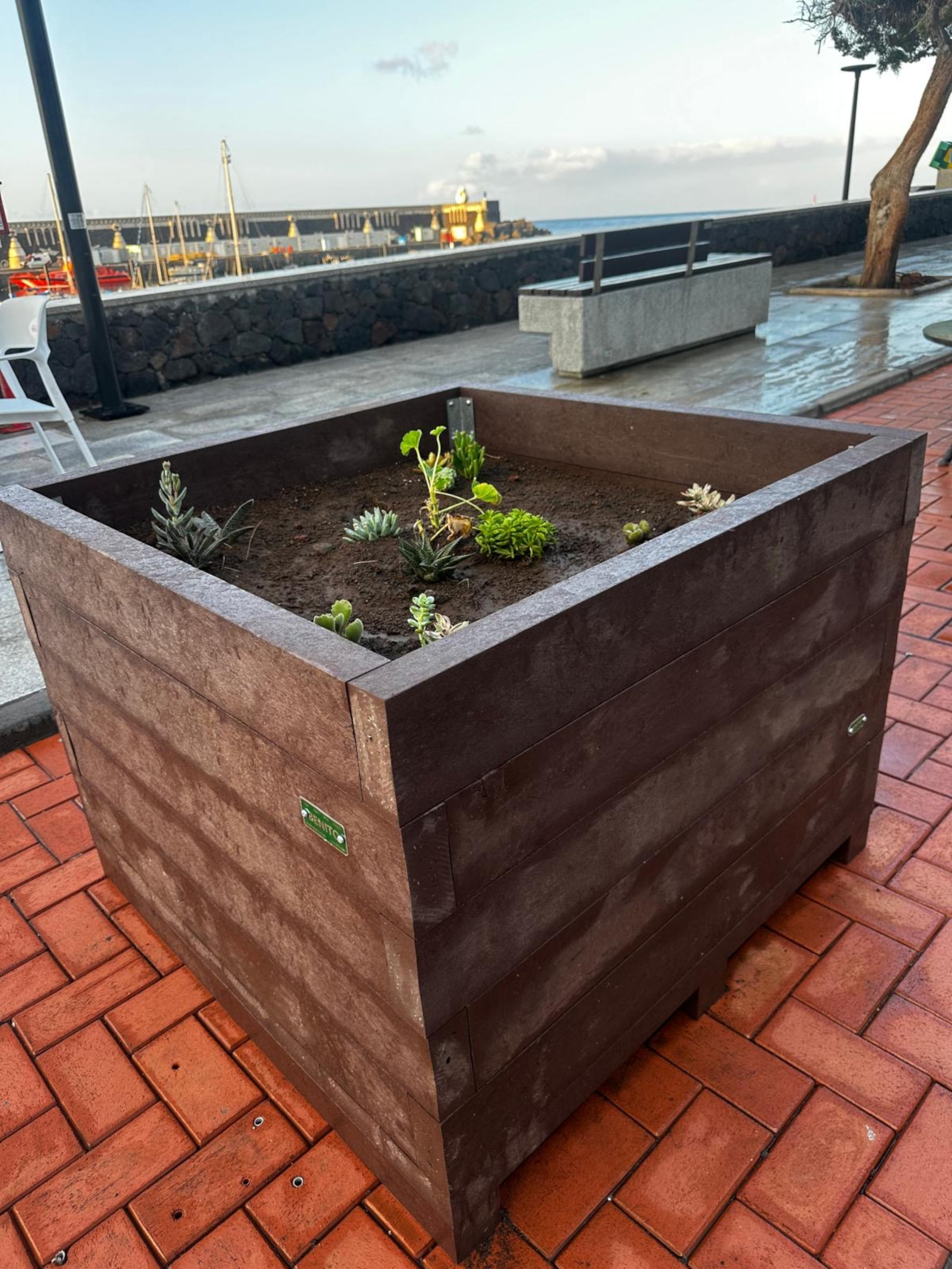 El Ayuntamiento instala nuevas jardineras en La Restinga para embellecer la avenida