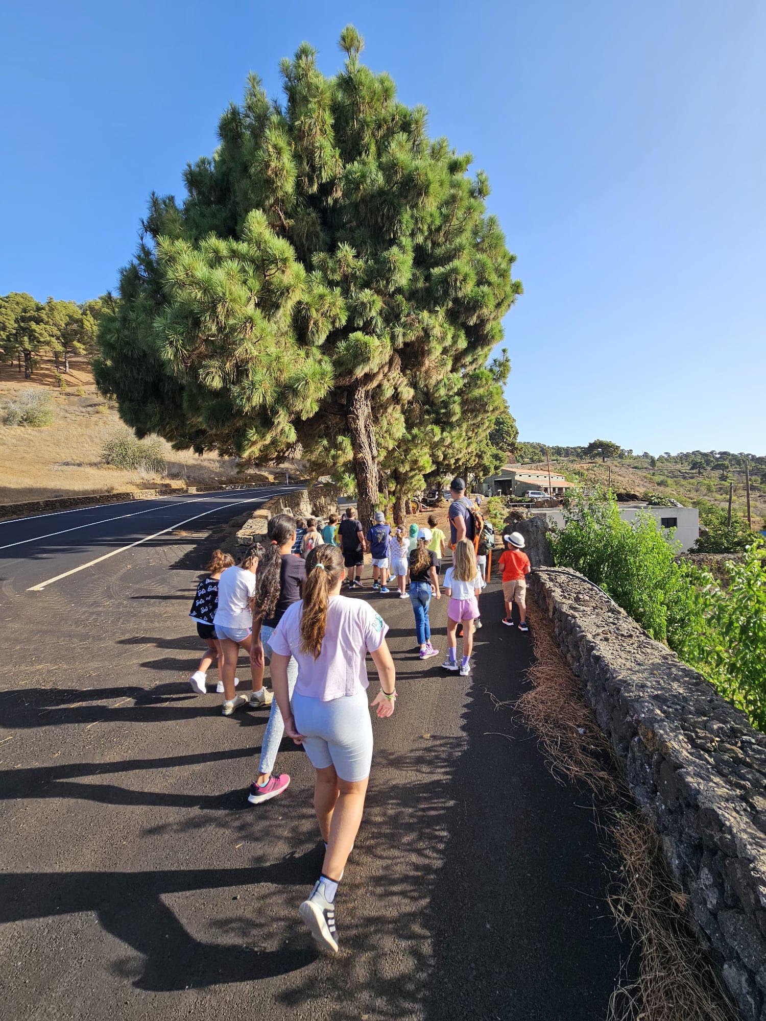 El Ayuntamiento de El Pinar pone en marcha el servicio de acogida temprana para las familias del municipio