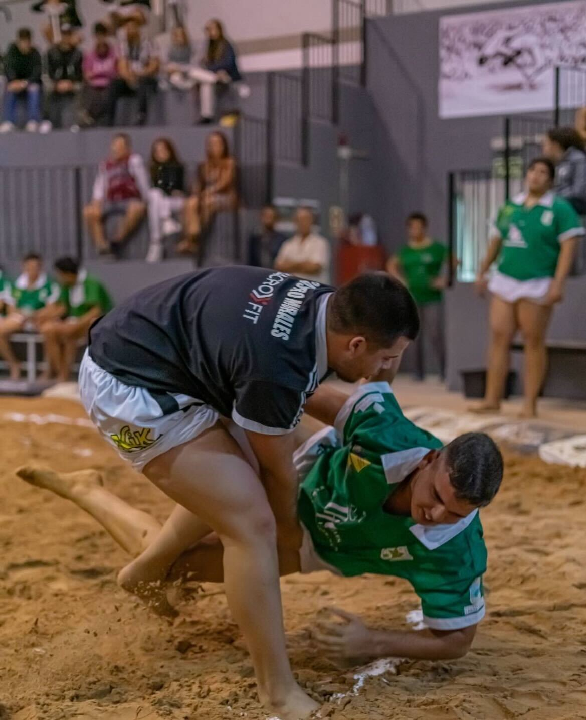 El Pinar acoge la Luchada Institucional por el Día de Canarias