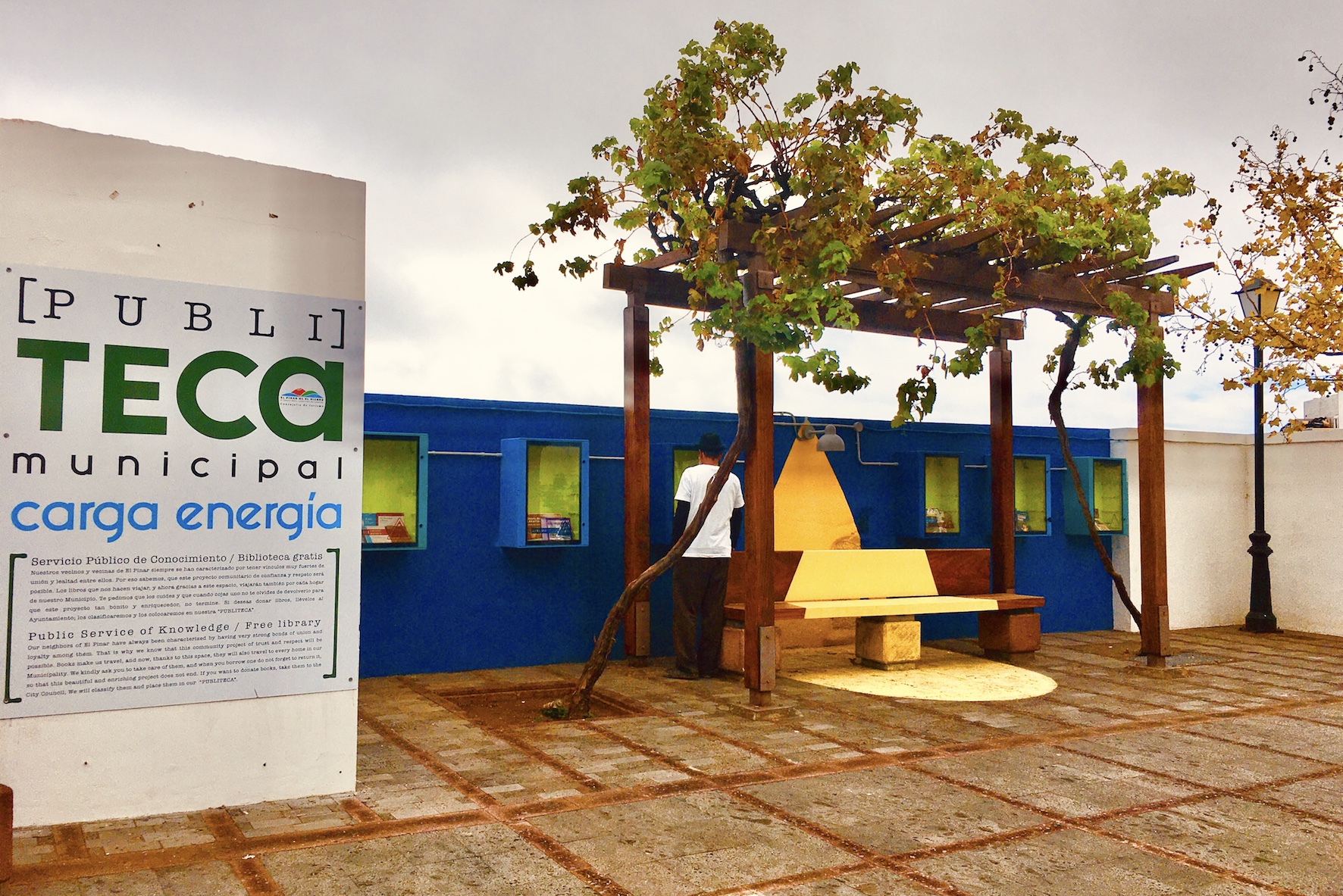 El Pinar crea un servicio público de libros para vecinos y turistas